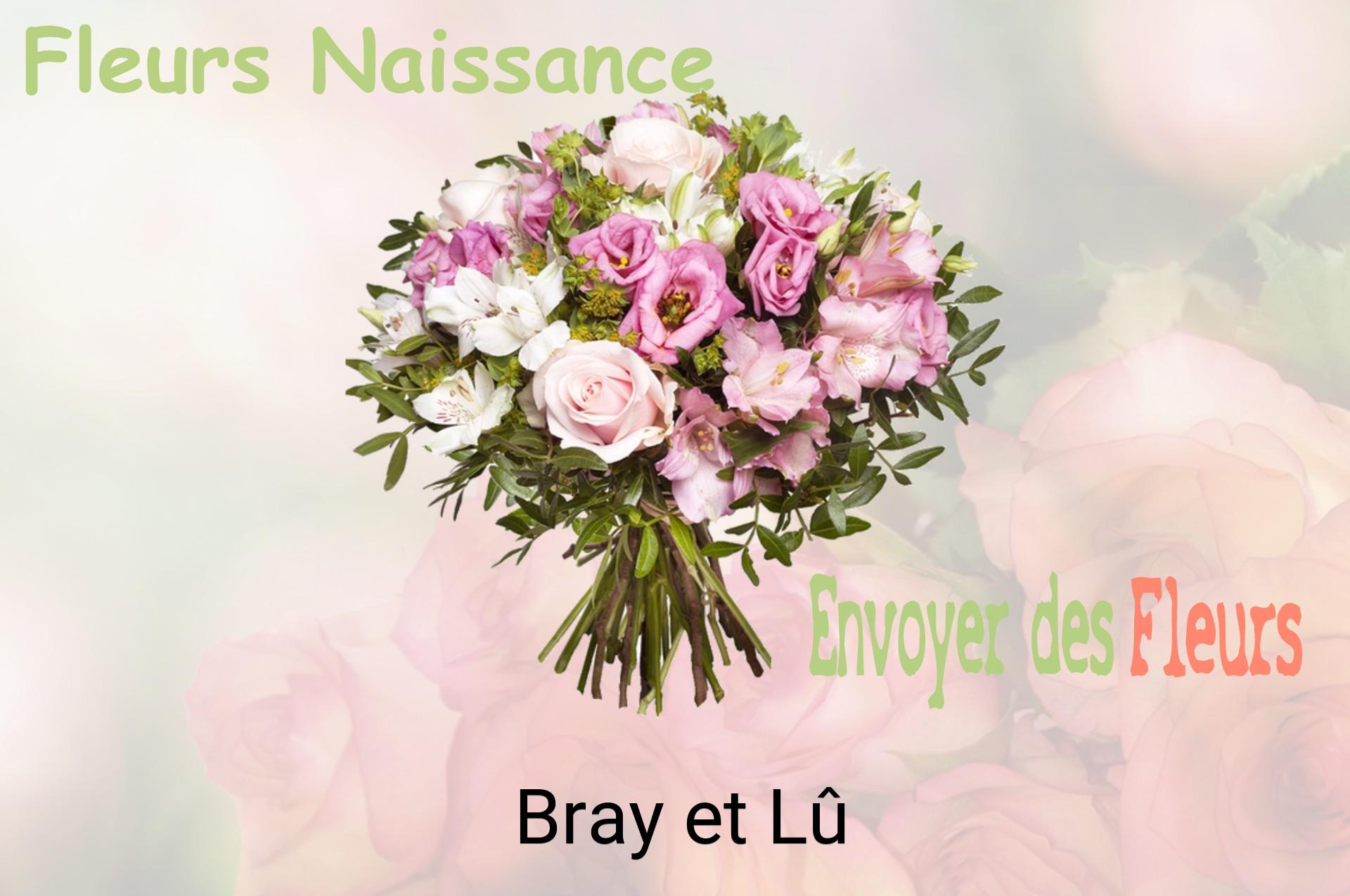 Bouquet de fleurs de naissance livré à Bray-et-Lû